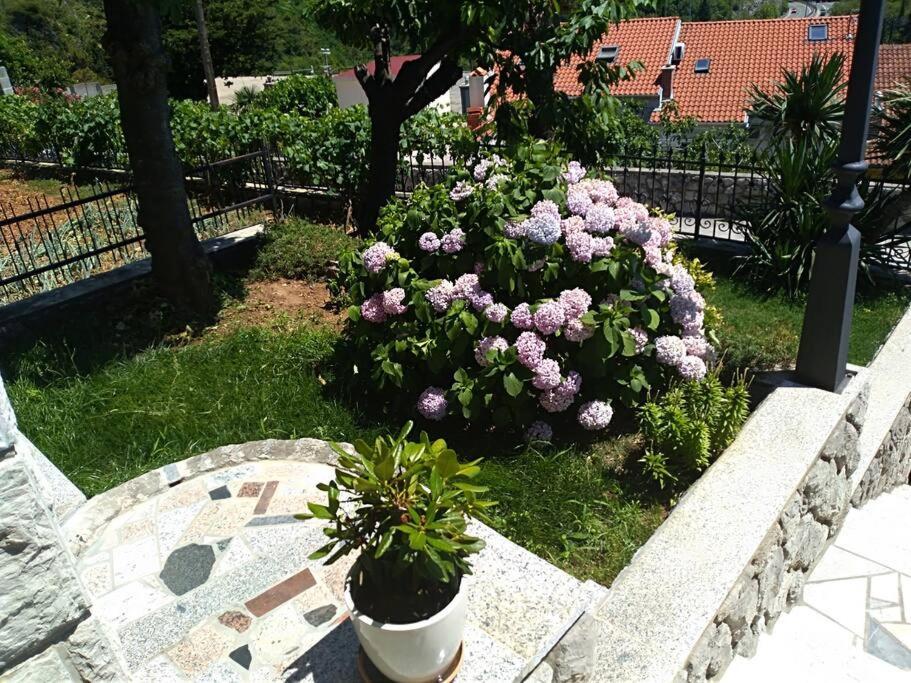 Apartment Mediterranean Garden Rijeka Exterior photo