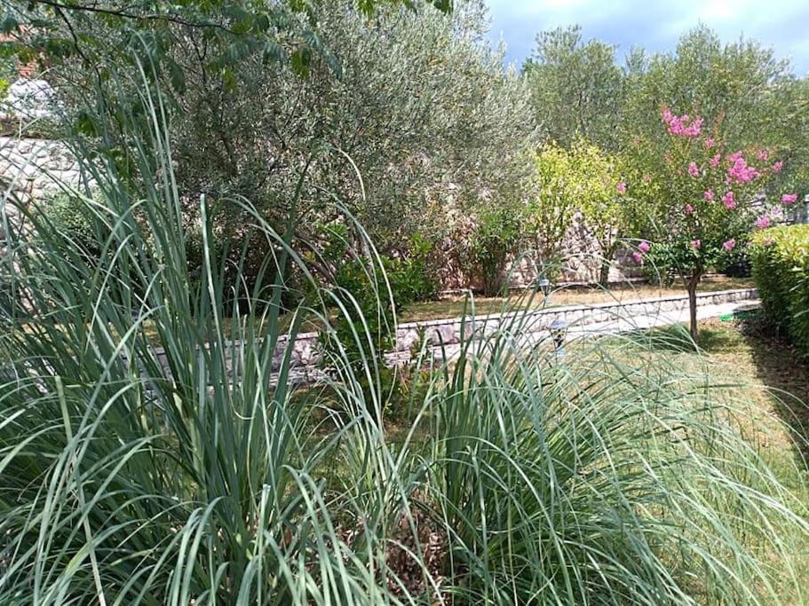 Apartment Mediterranean Garden Rijeka Exterior photo
