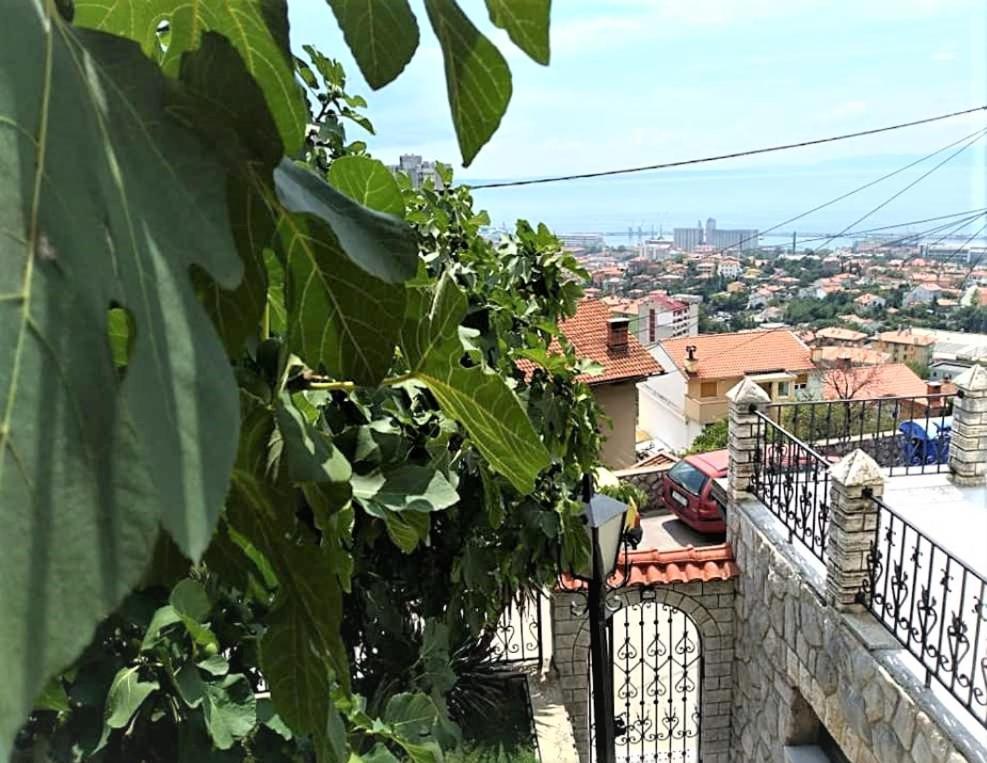 Apartment Mediterranean Garden Rijeka Exterior photo